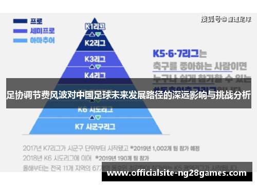 足协调节费风波对中国足球未来发展路径的深远影响与挑战分析