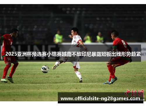 2025亚洲杯预选赛小组赛越南不敌印尼暴露短板出线形势趋紧