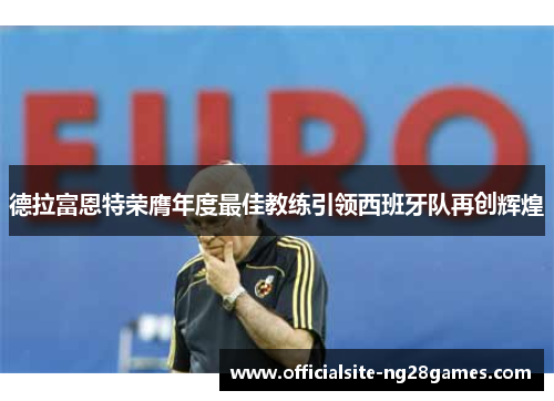 德拉富恩特荣膺年度最佳教练引领西班牙队再创辉煌